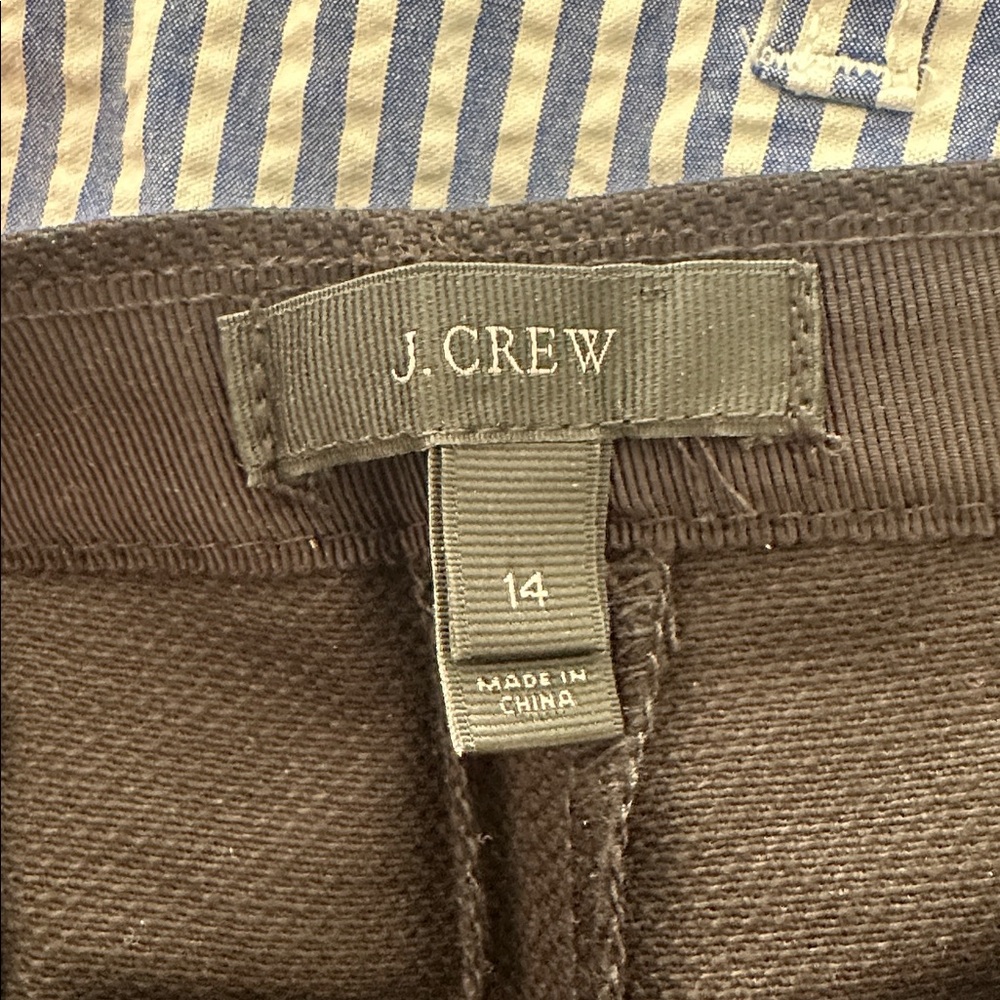J. Crew Pleated Dress Shorts